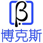 山东博克斯信息技术有限公司